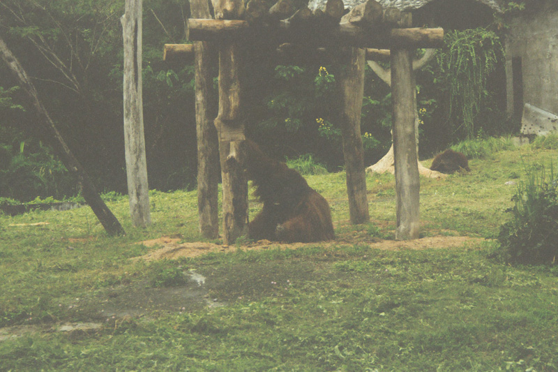 16 zoo