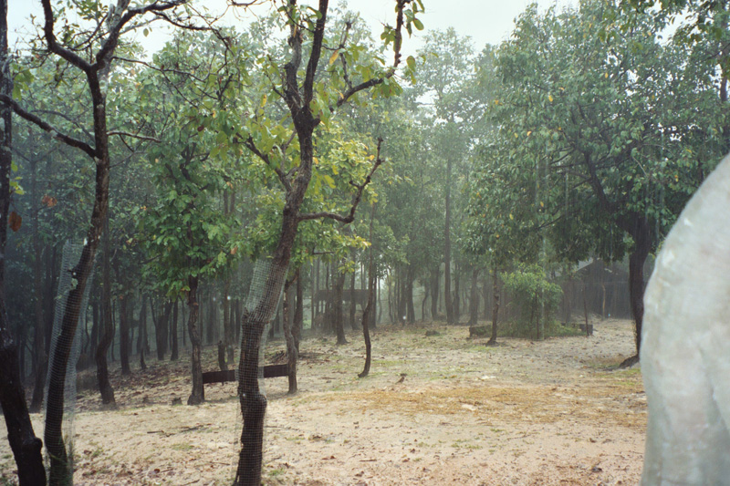 17 zoo