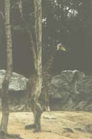 14 zoo