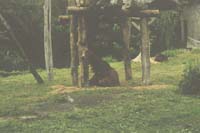 16 zoo