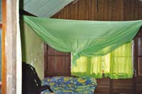 1er bungalow