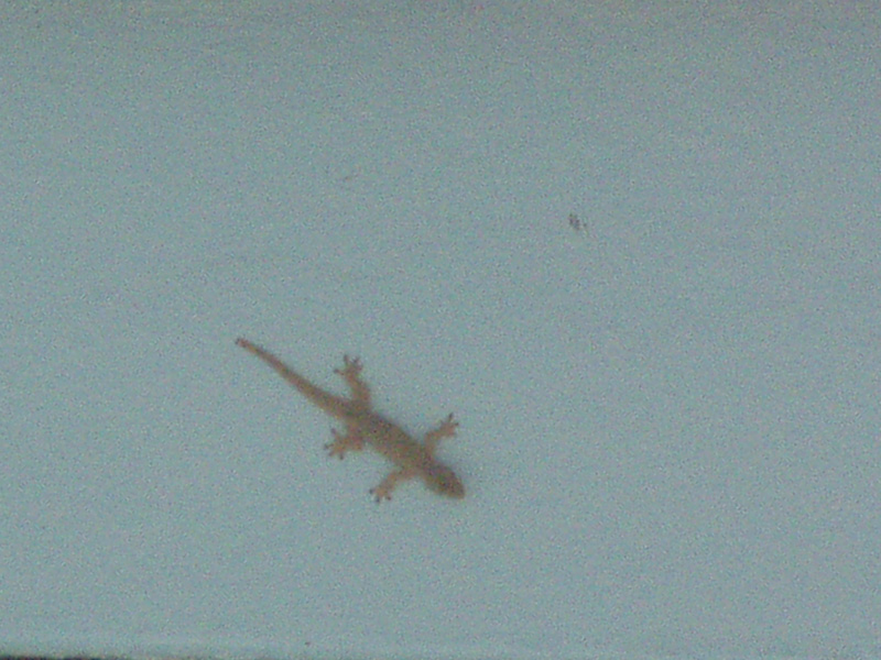 PB130097