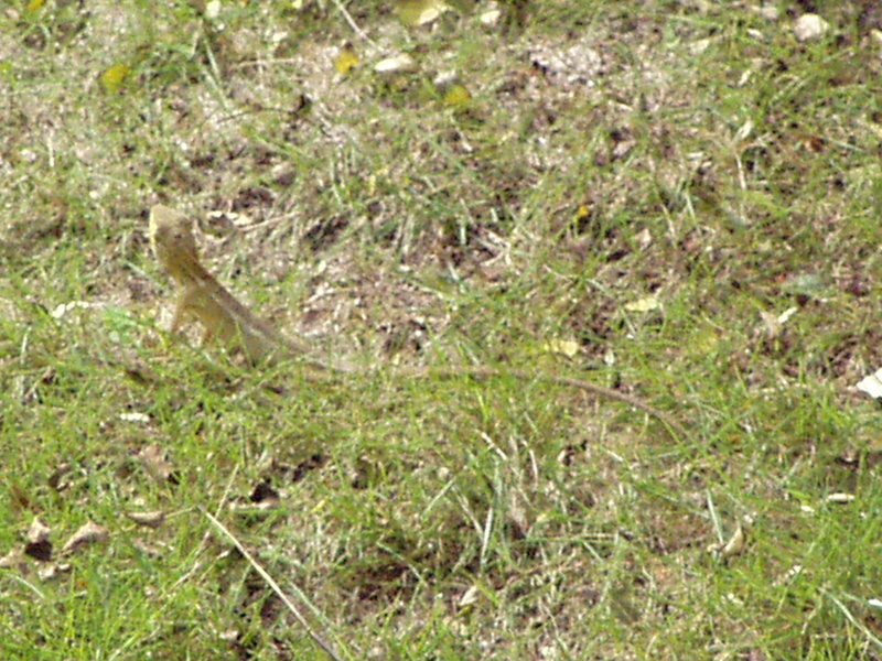 PB170156